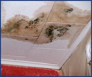 Homestead Restoration Company Homestead, FL 786-292-9740 Homestead Restoration Company Homestead, FL 786-292-9740 - city-page-water-leak